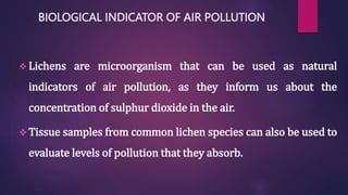 INDICATORS OF AIR POLLUTION (1).pptx