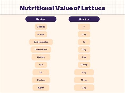 Lettuce Nutrition – Calories, Protein, Carbs