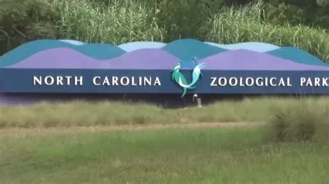 NC Zoo announces multi-million dollar expansion plan - ABC11 Raleigh-Durham