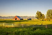 Free picture: old, wooden, house, field