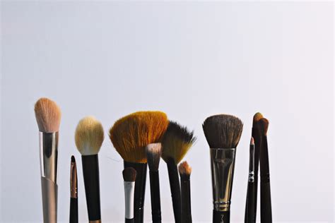 Free Images : brush, product, beauty, makeup brushes, tool, personal care, cosmetics, fawn ...