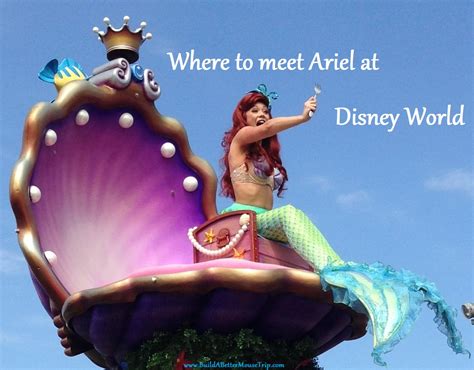 Where To Find Ariel, the Little Mermaid, at Disney World — Build A ...