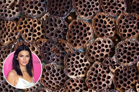 What is trypophobia and what causes a fear of holes? Symptoms ...