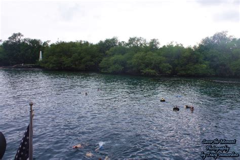 Snorkeling at Kealakekua Bay - Savor the Moment Photography