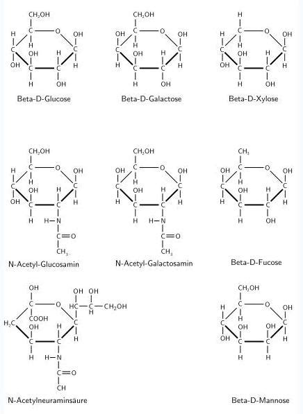 Glycoprotein - wikidoc