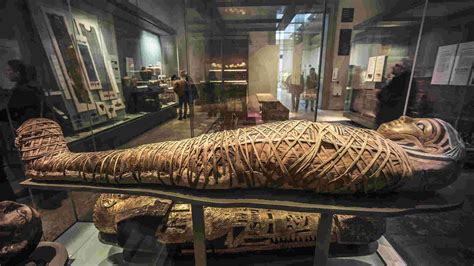 Revelando misterios antiguos: el viaje de las momias egipcias desde el Museo Británico hasta la ...