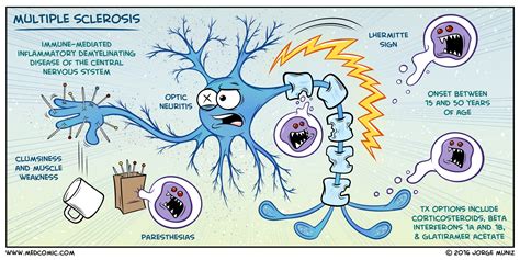 Chronic Neurological Disorders - Symptoms & Risks