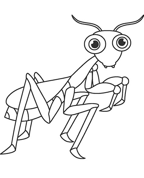 Cute Mantis coloring page - Download, Print or Color Online for Free