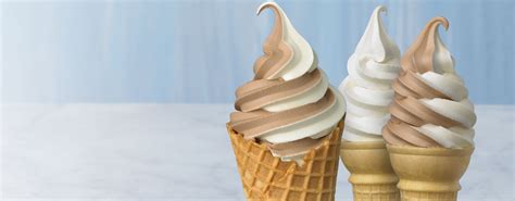 Gelato vs. Ice Cream vs. Frozen Yogurt vs. Soft Serve - Culinary Depot
