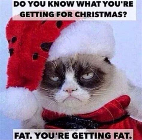 Xmas grumpy cat | Christmas memes funny, Grumpy cat christmas, Funny ...