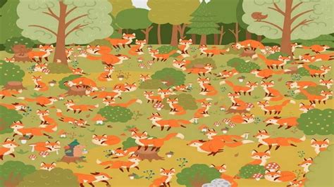 Optical Illusion: Spot the blue-eyed fox in the image in 13 seconds!