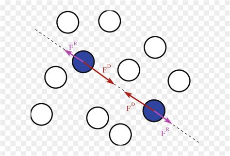 Sketch Of The Dissipative And Stochastic Forces Applied - Circle ...