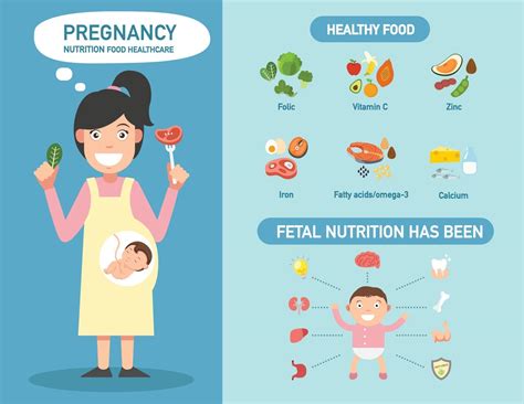 Pregnancy nutrition food healthcare infographics,illustration. 3239670 ...