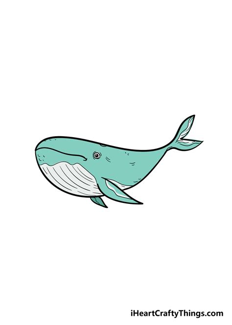 Whale Drawing - How To Draw A Whale Step By Step!