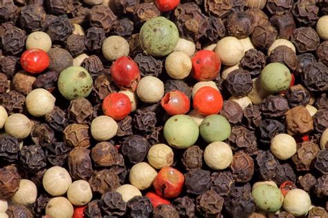 The Modern Farmer Guide to Peppercorns - Modern Farmer