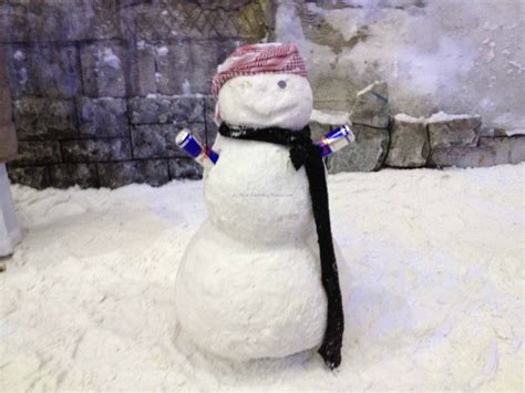 The Snowman of Dubai – MarLa Sink Druzgal