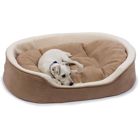 Dog Beds & Bedding: Best Large & Small Dog Beds on Sale | Petco