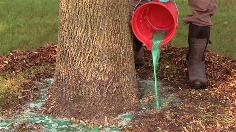 Insecticides Used to Control Emerald Ash Borer on Residential Shade Trees - 5.626 - Extension