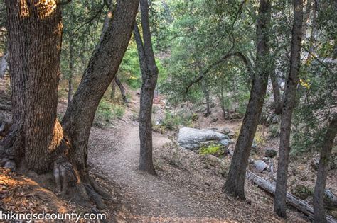 Observatory Trail - Hiking San Diego County