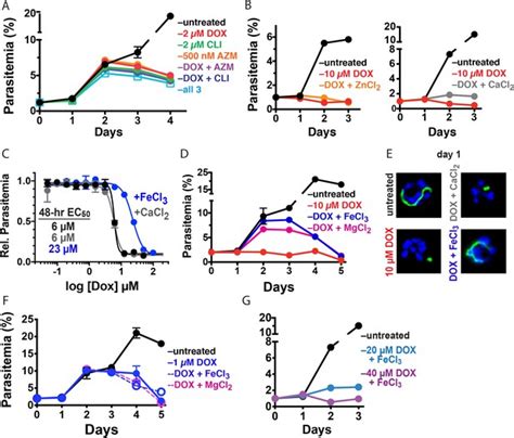 Doxycycline has distinct apicoplast-specific mechanisms of antimalarial ...