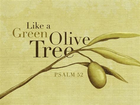 Pin by Ramona Weatherholtz on Olive you | Olive, Inspirational scripture quotes, Olive tree