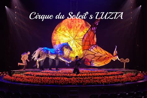 Discount Tickets Cirque du Soleil’s LUZIA - Southern California Shows | @Cirque #LUZIA ...