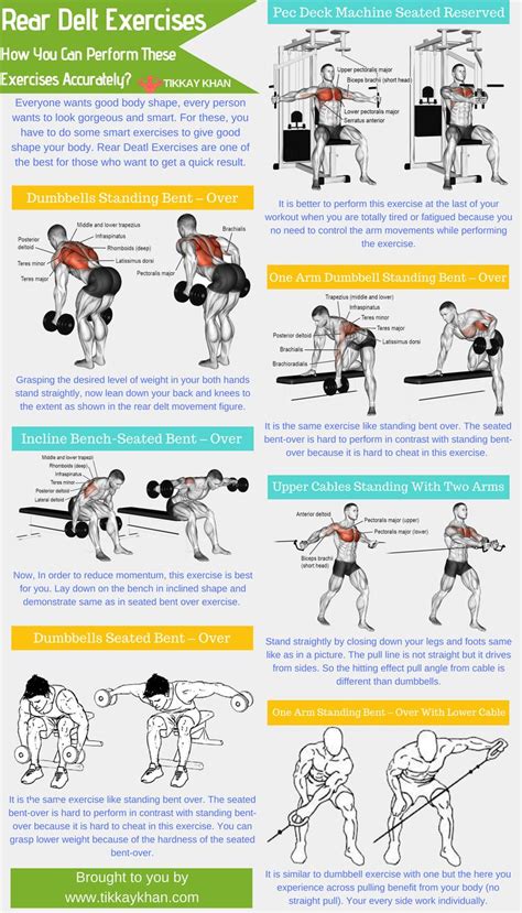 Rear Dealt Exercises how you can peform these exercises accurately? | Rear delt exercises ...