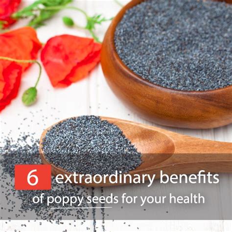 The Top 6 Extraordinary Health Benefits Of Poppy Seeds (+ 6 Easy, Nutritious Recipes ...