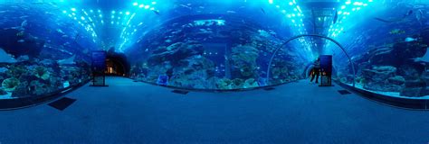 Dubai Aquarium Tunnel 360 Panorama | 360Cities