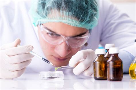 The Pharmaceutical Industry Concept with Scientist in the Lab Stock Photo - Image of growing ...