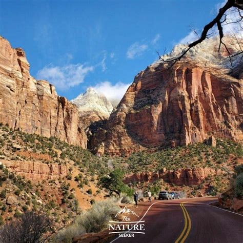 zion national park scenic drive north america | The Nature Seeker