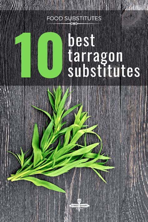 10 Best Tarragon Substitute Options: What to Use When You Don't Have it ...