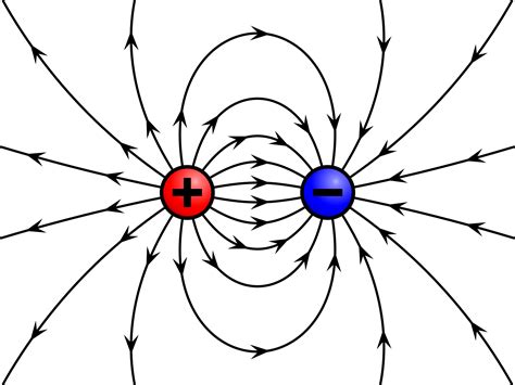 charge - Zero net force on grass seeds - is this a uniform field? - Physics Stack Exchange