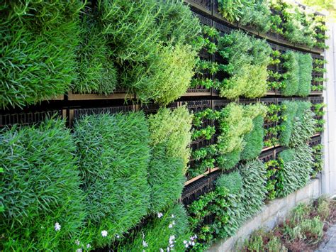 Edible Vertical Gardens with Elmich Green Walls - Elmich Pte Ltd