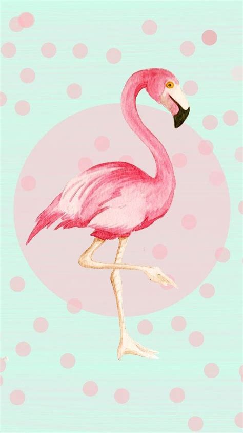 Cute Flamingo Wallpapers - Wallpaper Cave