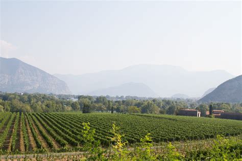 Franciacorta Italy: The Wine Region To Visit Next — Salt & Wind Travel