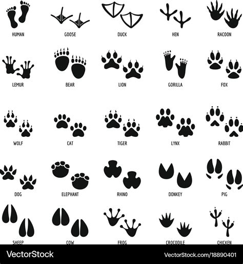 Animal footprint icons set simple style Royalty Free Vector