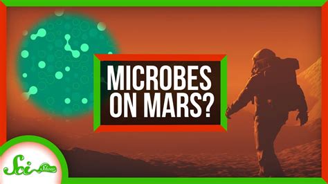 Microbes Might Survive on Mars | SciShow News - YouTube