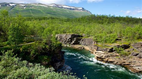 Abisko National Park in Abisko - Tours and Activities | Expedia.ca