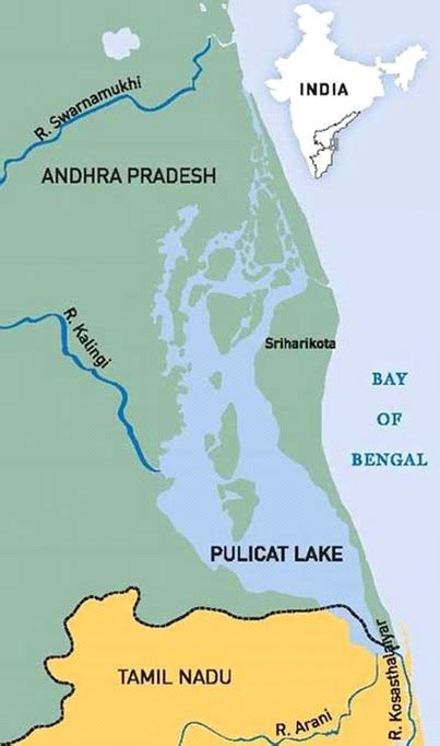 Spot Billed Pelican and Pulicat Lake - Optimize IAS