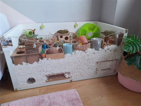 Hamsterscaping 🐹 | Hamster cages, Hamster habitat, Hamster diy cage