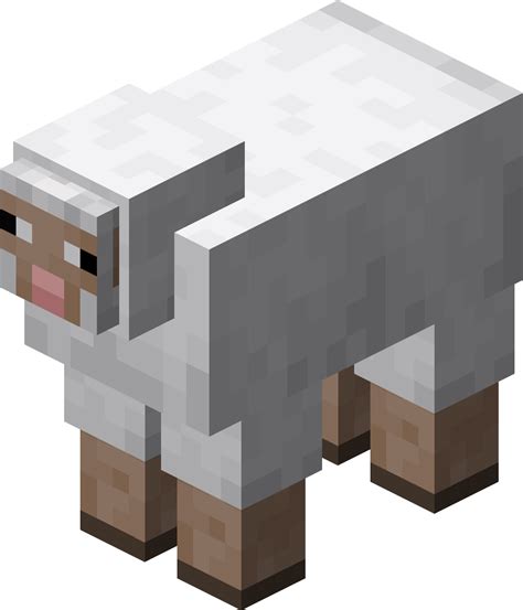 Sheep – Official Minecraft Wiki