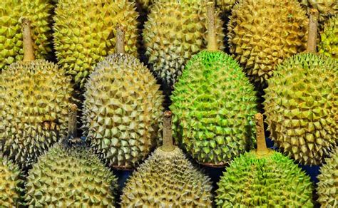 11 Exotic Fruits of Thailand That You Should Try | Toast to Thailand