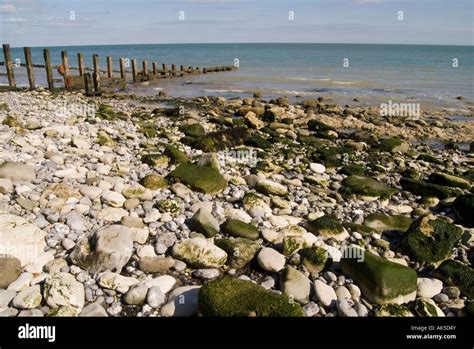 Eastbourne beach, pier Stock Photo - Alamy