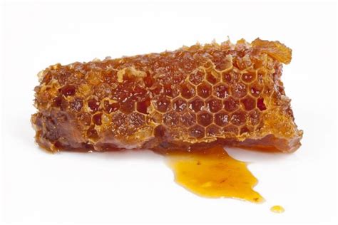 Harvesting Honey from Bees | Beekeeping 101 | The Old Farmer's Almanac