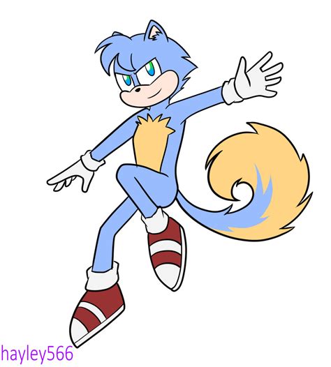 Sonic and Tails fusion by hayley566 on DeviantArt