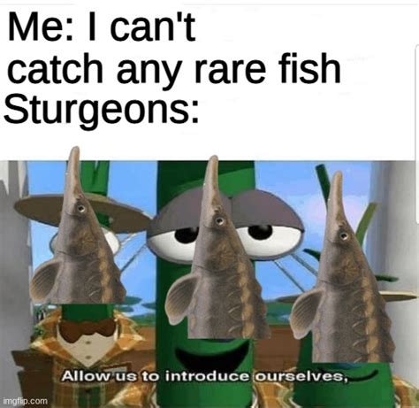 They aren't rare for me for some reason - Imgflip