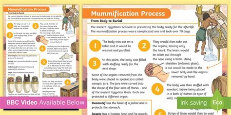 Egyptian Mummification Posters Ancient Egypt Projects - vrogue.co