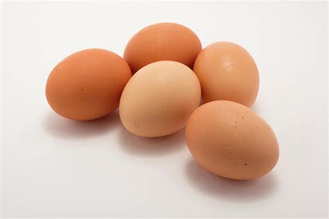 Group of brown eggs - StockFreedom - Premium Stock Photography