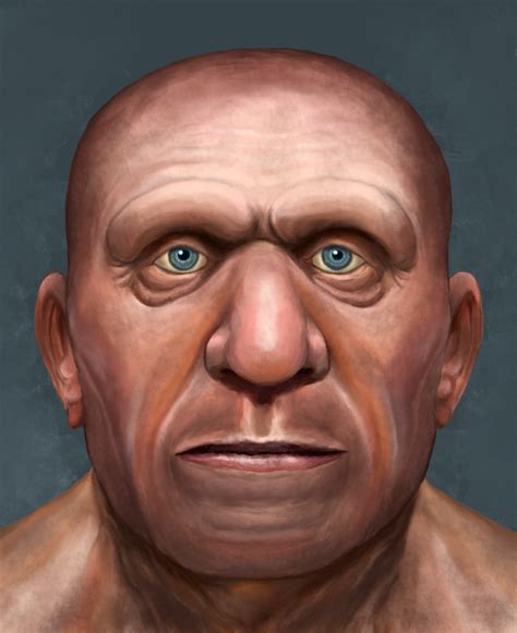 Neanderthal face study by Mihin89 on DeviantArt